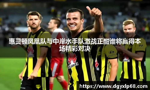 惠灵顿凤凰队与中岸水手队激战正酣谁将赢得本场精彩对决